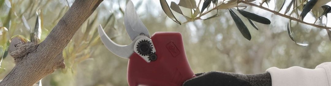 Tijeras el&eacute;ctricas de poda de bater&iacute;a Archman