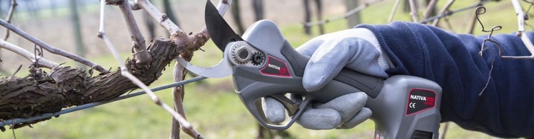 Tijeras de poda Ausonia Las mejores tijeras de poda a batería Ausonia en oferta en AgriEuro