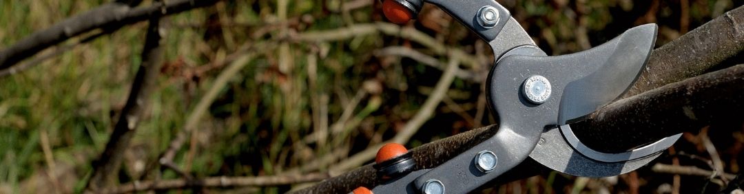 Los mejores cortarramas Bahco en oferta en AgriEuro