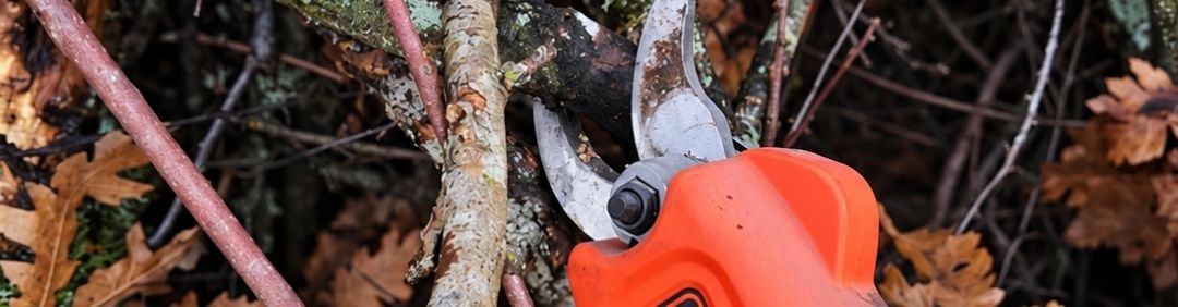 Las mejores tijeras de poda a bater&iacute;a Black and Decker en oferta en AgriEuro