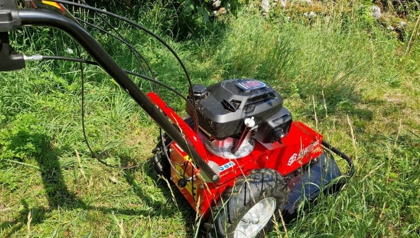 Las mejores desbrozadoras de gasolina Blue Bird en oferta en AgriEuro