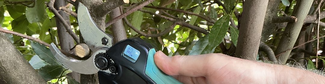 Las mejores tijeras de poda a bater&iacute;a Campagnola en oferta en AgriEuro
