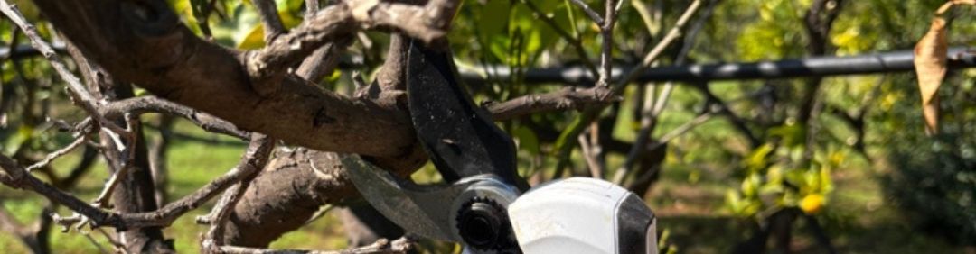 Las mejores tijeras de poda de bater&iacute;a Castellari en oferta en AgriEuro