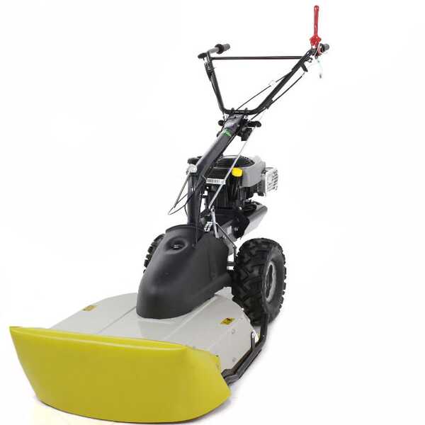 Eurosystems TM 70 RB EVO - Desbrozadora de gasolina - Cuchilla - B&S 850E I/C