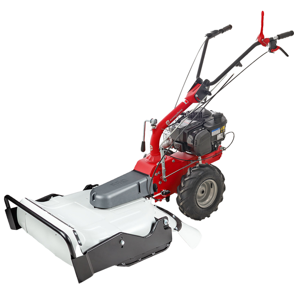 Eurosystems P55 EVO - Desbrozadora de gasolina - B&S 675 EXI