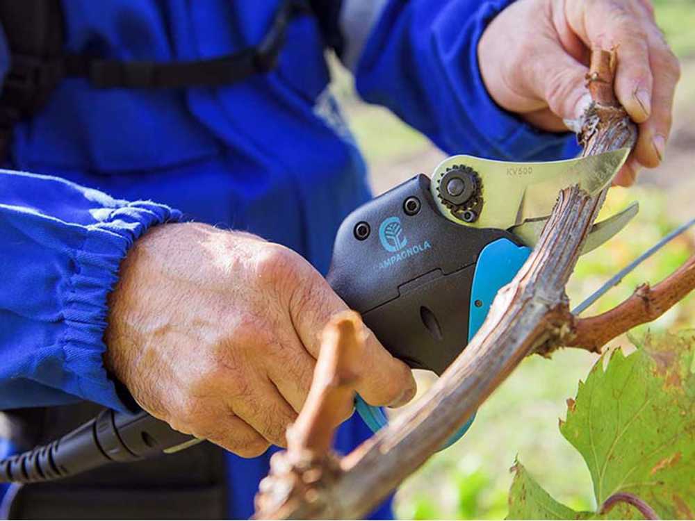 Tijeras de poda eléctricas Easy S Campagnola - SIN BATERÍA