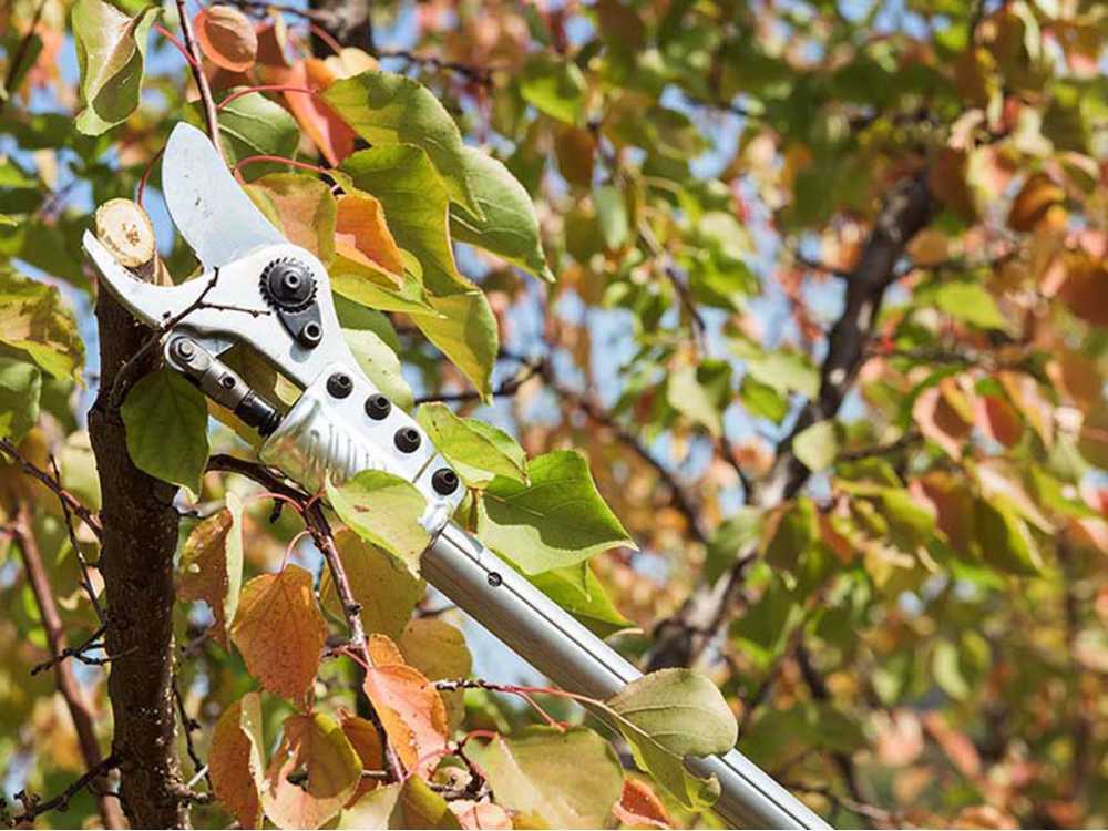 Tijeras de poda el&eacute;ctricas Campagnola Easy 150, sin bater&iacute;a