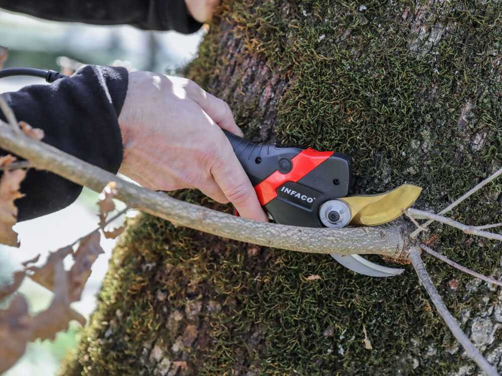 Tijera eléctrica de poda Infaco F3020M - 36V 3Ah - Ø 45 mm
