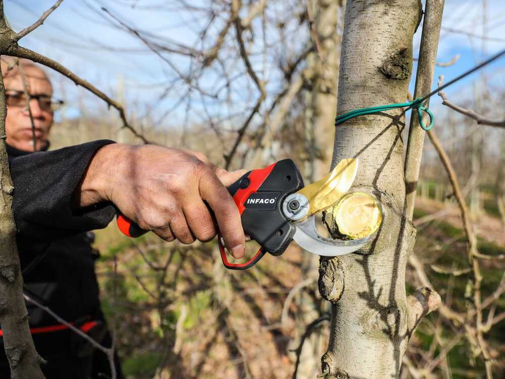 Tijera eléctrica de poda Infaco F3020M - 36V 3Ah - Ø 45 mm