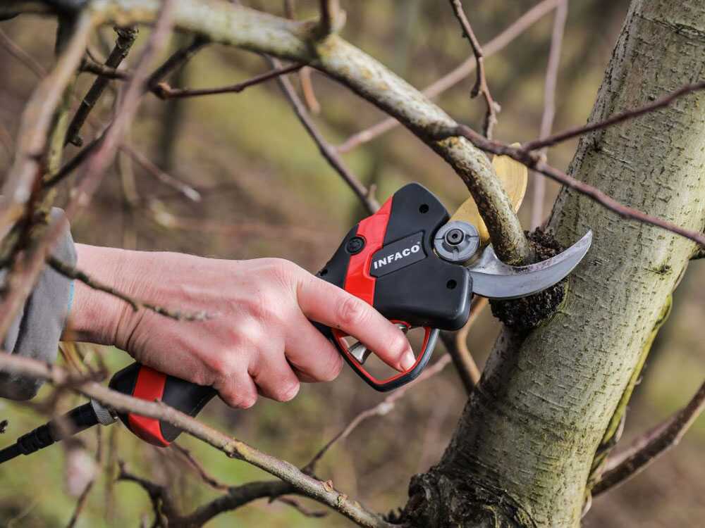 Tijera eléctrica de poda Infaco F3020M - 36V 3Ah - Ø 45 mm