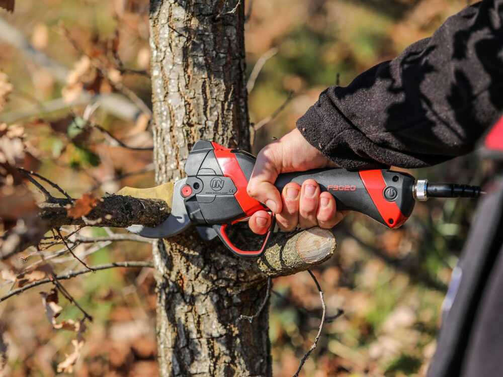 Tijera eléctrica de poda Infaco F3020M - 36V 3Ah - Ø 45 mm