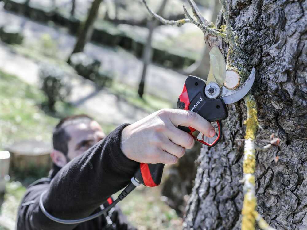 Tijera eléctrica de poda Infaco F3020M - 36V 3Ah - Ø 45 mm