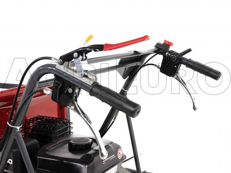 GeoTech Pro GeoPorter 330E BS - Carretilla de orugas con caja extensible y 4 rodillos - 300 kg