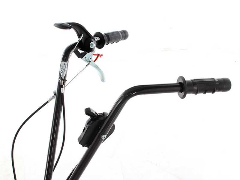 Eurosystems Z2 RM - Motoazada de gasolina 4 HP - Motor Loncin 123 T