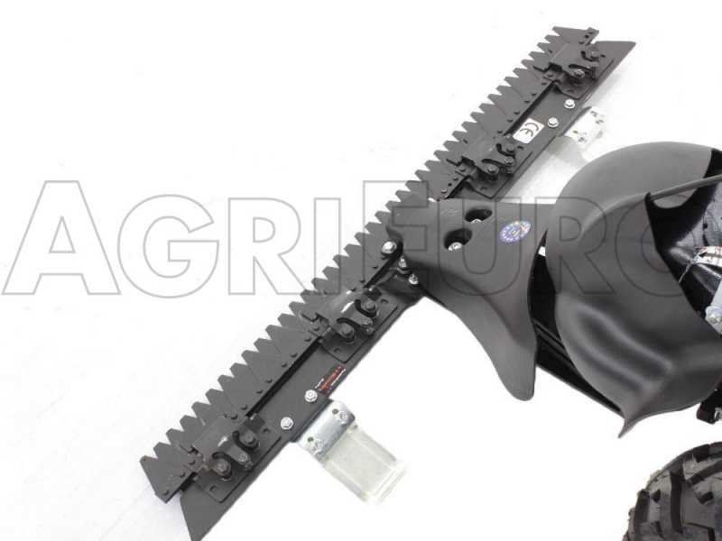 Eurosystems TM70RB - Motosegadora multifunci&oacute;n de doble cuchilla - B&amp;S 850E I/C