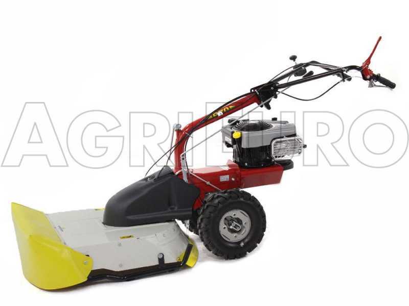 Eurosystems P70 EVO - Desbrozadora de gasolina - Cuchilla - B&amp;S 850E I/C