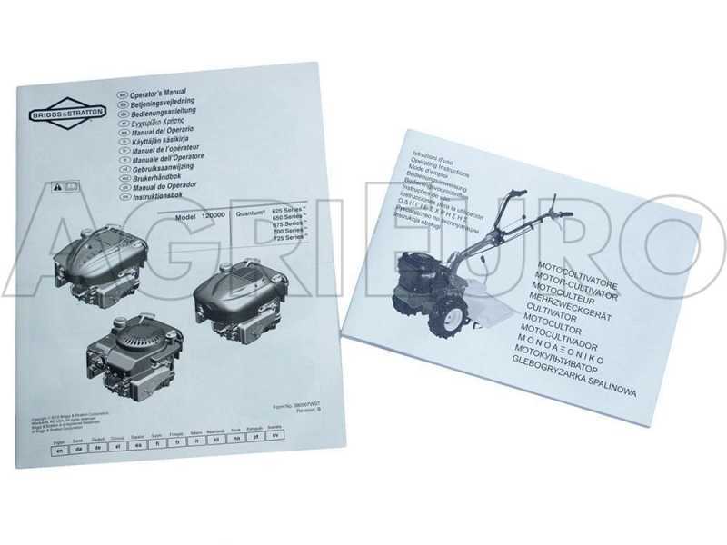 Eurosystems P70 EVO - Aspirador de hojas de gasolina  - B&amp;S 850E I/C