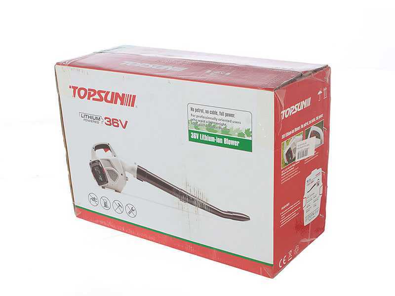 Soplador de hojas de bater&iacute;a Topsun 36 voltios - bater&iacute;a de 2 Ah