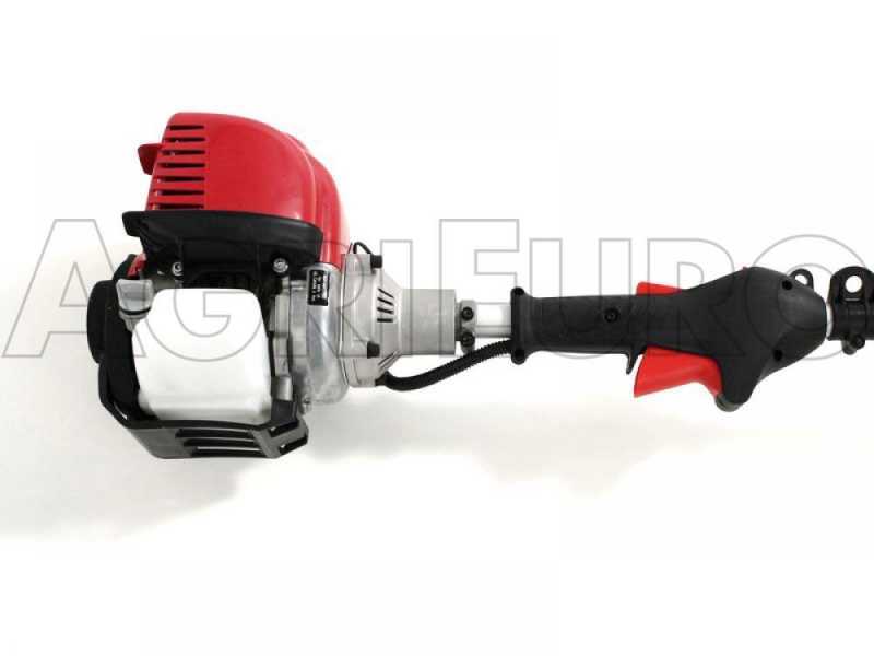 Attila GX 35 - Vareador de aceitunas + Desbrozadora multifunci&oacute;n con motor Honda