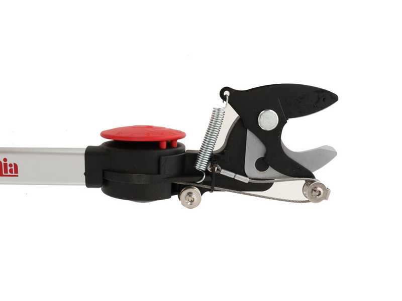 Ausonia - Cortarramas de poda p&eacute;rtiga fija 2 m &Oslash; 35mm - cabezal giratorio