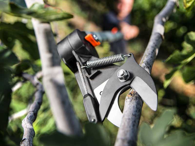 Stocker Art. 609 - Cortarramas de poda profesional con p&eacute;rtiga fija Art. 220 cm - &Oslash; 35mm