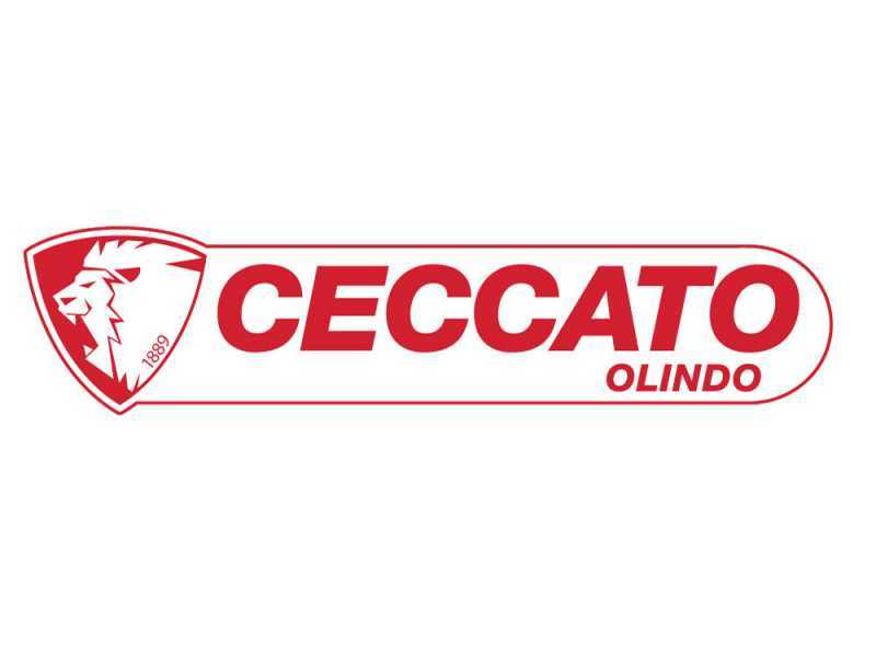 Ceccato BULL SPLT10 - Rajadora de le&ntilde;a para tractor - Vertical