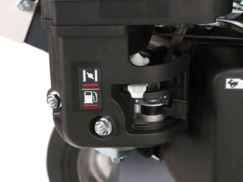 BlackStone GBK 600 - Biotrituradora de gasolina - Motor 7 HP