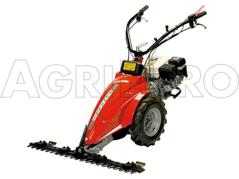 Benassi MC2300C - Motocultor de gasolina - Hwasdan H170 - 5.5HP