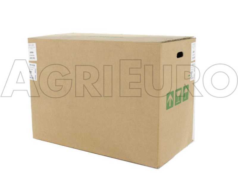 Benassi MC2300C - Motocultor de gasolina - Hwasdan H170 - 5.5HP
