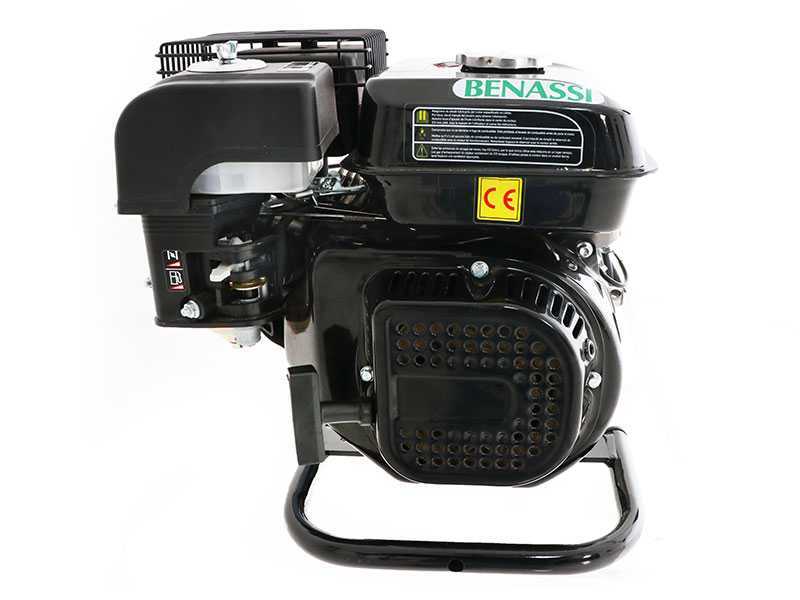 Benassi MC2300C - Motocultor de gasolina - Hwasdan H170 - 5.5HP