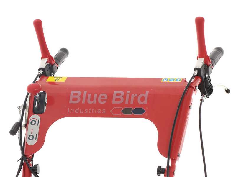 Blue Bird SG0812A - Desbrozadora profesional de martillos - Loncin LC175F-2