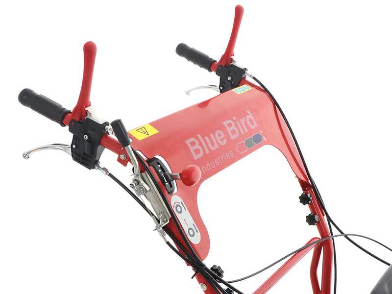 Blue Bird SG0812A - Desbrozadora profesional de martillos - Loncin LC175F-2