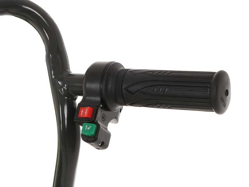 Carretilla el&eacute;ctrica con ruedas Greenworks G40GC Garden Cart 40V - Motocarretilla - 4Ah/40V