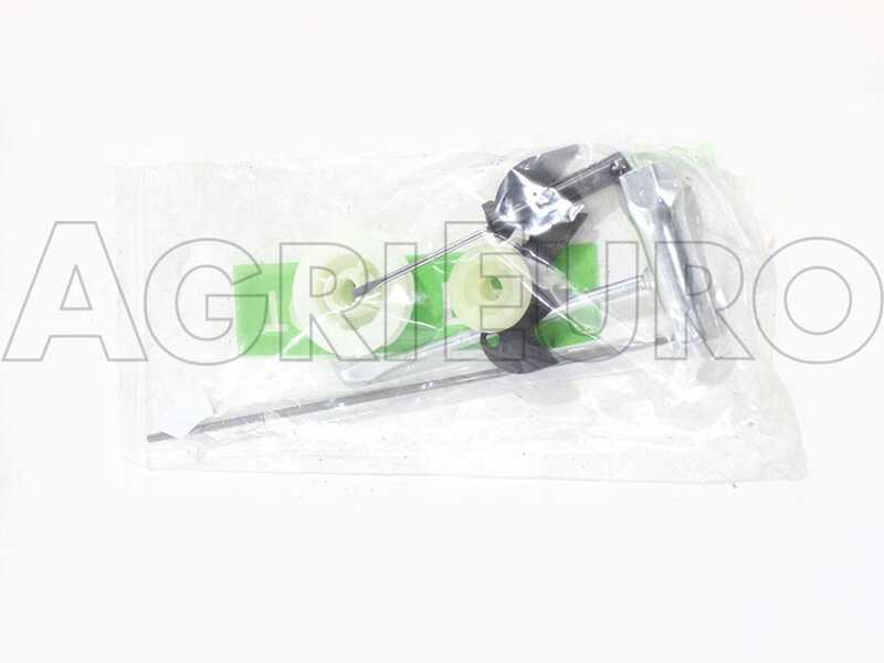 Blue Bird CS250 CARV - Motosierra de mezcla de poda - Espada de 25 cm