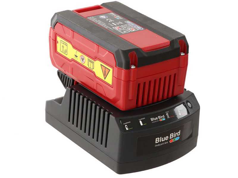 Podadora de bater&iacute;a con p&eacute;rtiga telesc&oacute;pica Blue Bird R3S 40V - hasta 4 m contando el usuario