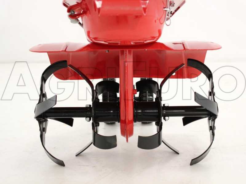 Eurosystems Z2 - Motoazada de gasolina 3.5 HP - Motor Briggs&amp;Stratton 450