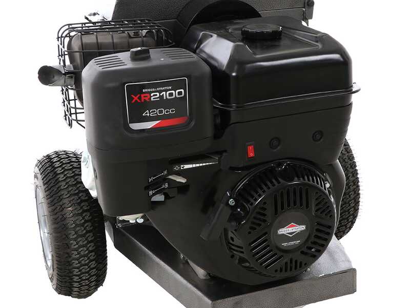 BlackStone DSP 150 BS - Biotrituradora de gasolina - Motor Briggs &amp; Stratton de 420cc