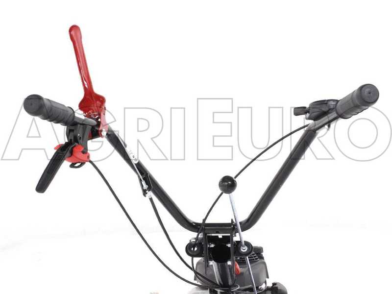 Eurosystems P55 - Motosegadora multifunci&oacute;n de doble cuchilla - Honda GCVX 170
