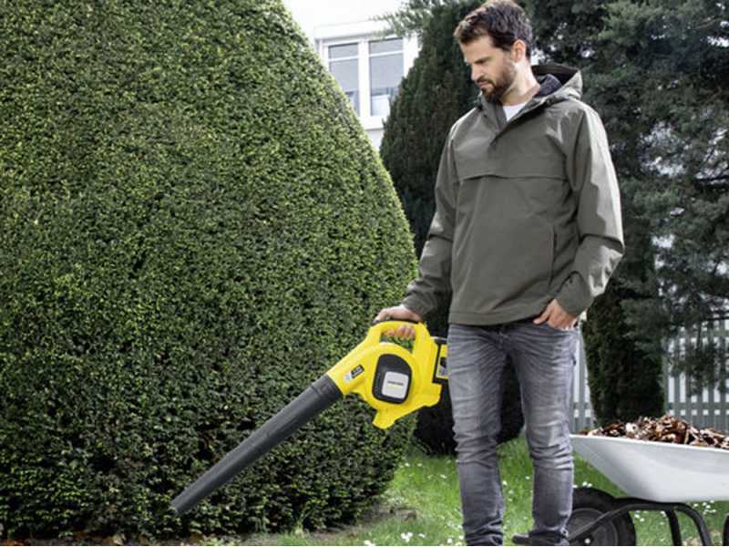 Soplador el&eacute;ctrico de bater&iacute;a de litio Karcher LBL 4 - 36 V