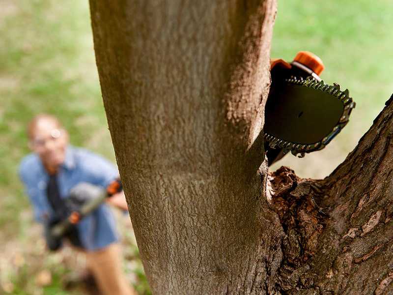 Podadora de bater&iacute;a con p&eacute;rtiga telesc&oacute;pica Worx WG349E.9 - 20V - Telesc&oacute;pica hasta 4 metros - SOLO M&Aacute;QUINA - BATER&Iacute;A Y CARGADOR NO INCLUIDOS