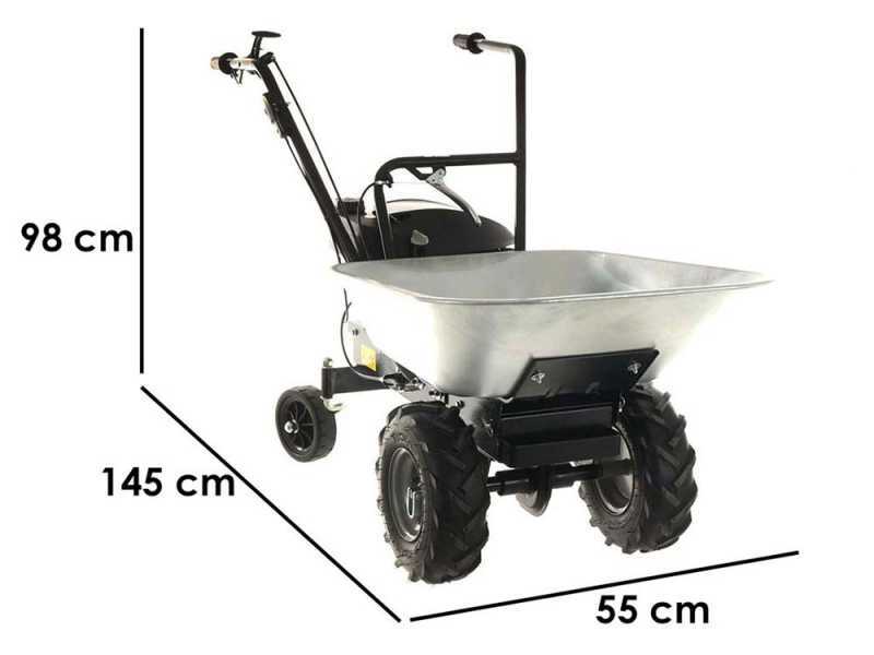Carretilla de ruedas Eurosystems Carry autopropulsada con motor Honda GCVx 170
