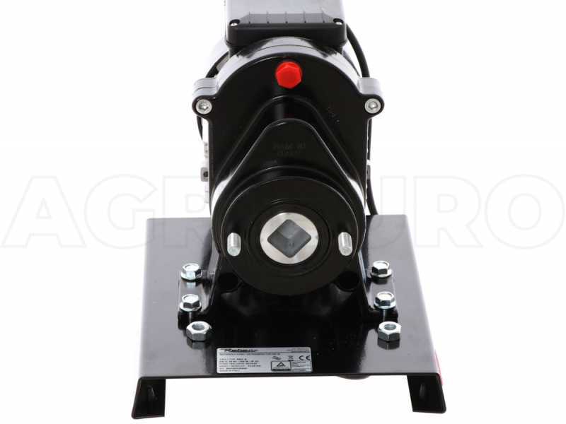 Reber N.5 9601N-8400N - Prensa para pasta con motor el&eacute;ctrico de inducci&oacute;n 500W