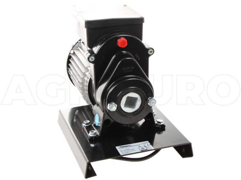 Reber 9602N-8900N N.5 - Rallador el&eacute;ctrico - Motor de inducci&oacute;n - 600W