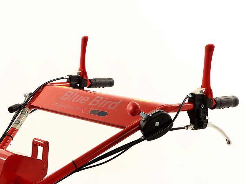 Blue Bird SG0813 - Desbrozadora profesional de martillos - Loncin G390F