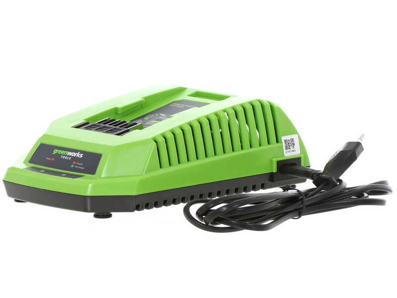 Greenworks GD40TCS - Electrosierra de poda 40V 2Ah - Espada 25 cm