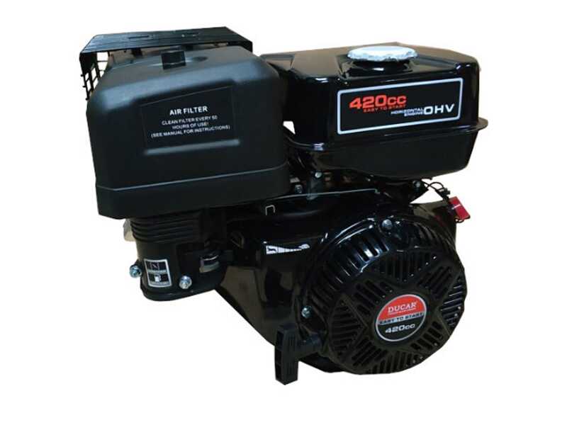 BlackStone B-PW 15/300 - Hidrolimpiadora de gasolina - 310 bar - 900 L/h - Motor Ducar DH420 - con bomba Annovi &amp; Reverberi