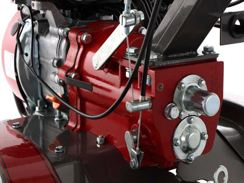 Italian Power RG3.6-100 - Motoazada de gasolina 7 HP - Rato R210