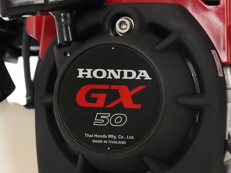 Castelgarden BC 450 HD - Desbrozadora de gasolina 4 tiempos - Motor Honda GX50