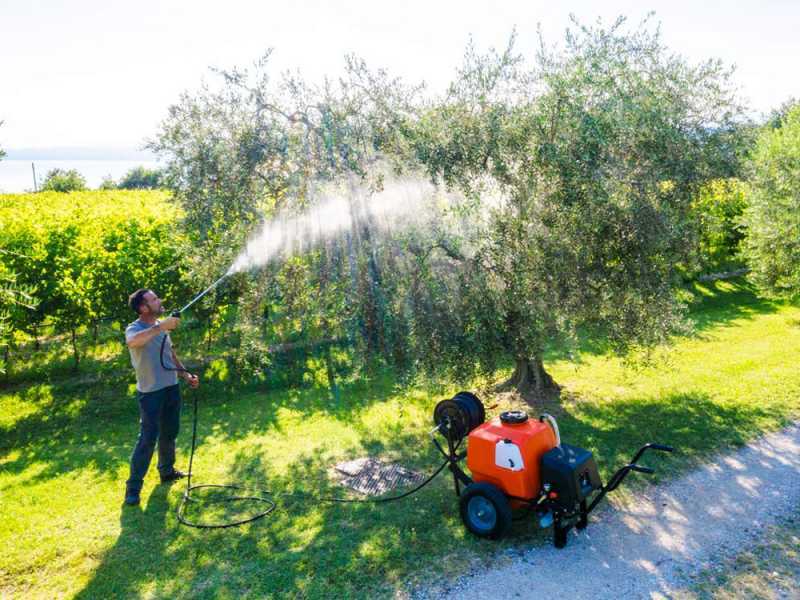 Carretilla fumigadora de bater&iacute;a Stocker 12V de 80 l art. 303 - Con barra de riego y gancho de remolque