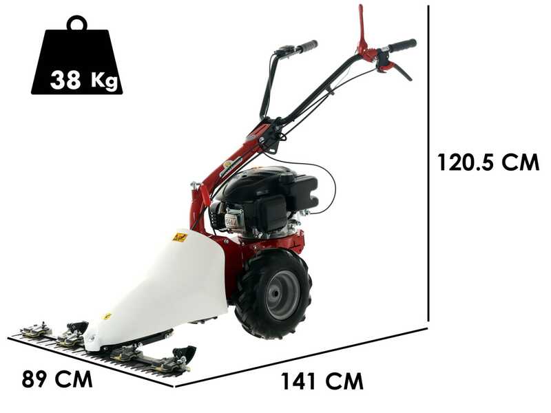 Eurosystems M210 - Motosegadora de doble cuchilla - Loncin LC1P65FE